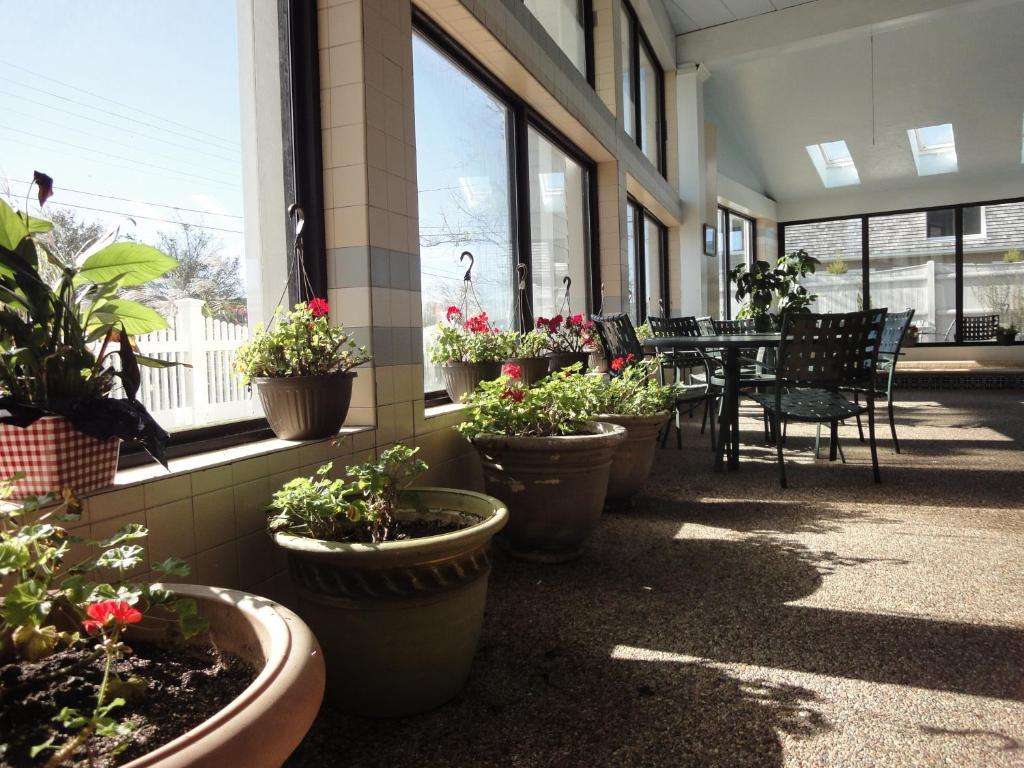 Sunlit garden solarium